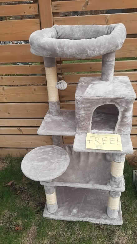 Photo of free Curb find: cat tower & saw (Bloor St W & Jane St) #1