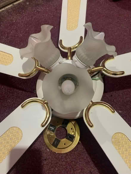 Photo of free Ceiling Fan (Southend on sea SS1) #1
