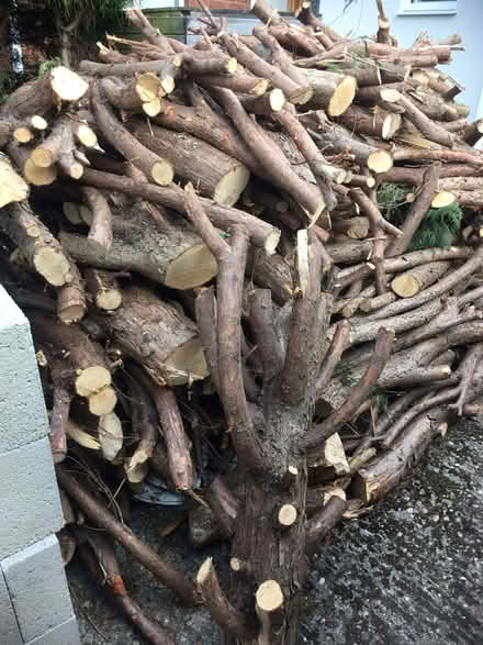 Photo of free Logs, firewood. (Exhall CV7) #1