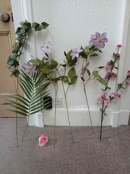 Photo of free Plastic Flowers (Lark Lane Area L17) #1
