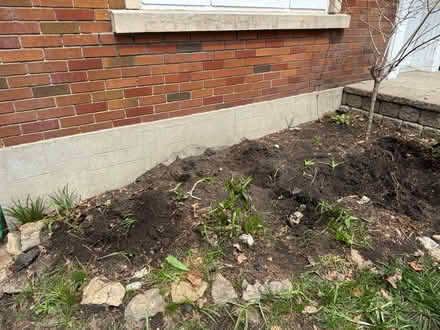 Photo of free garden bed soil (Civic Hospital) #3