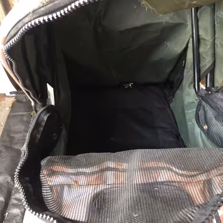 Photo of free Pet stroller (East Watertown) #2