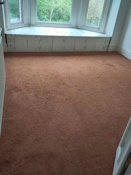Photo of free Carpets (Leeds LS8) #3