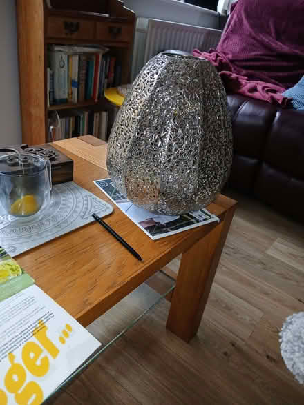 Photo of free Ceiling lampshade (Newhaven BN9) #1