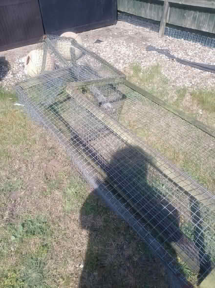 Photo of free Pet Tunnel Galvanised Mesh (Cippenham SL1) #3