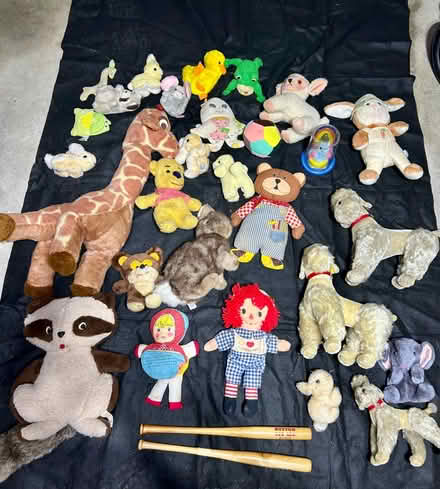 Photo of free Stuffed animals/toys (Quincy) #1