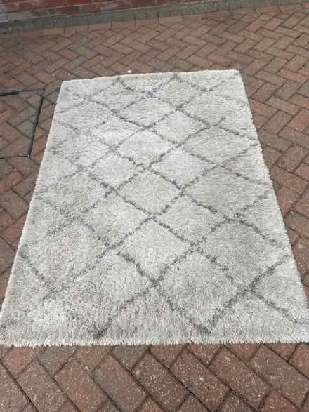 Photo of free Contemporary style rug (Golden Green TN11) #1