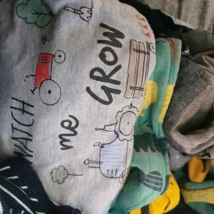 Photo of free Boys Clothes (Felling) #1