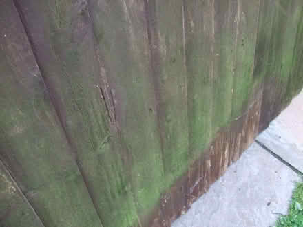 Photo of free 9 x Fence panels (6x5) (Heath Hayes WS12) #4