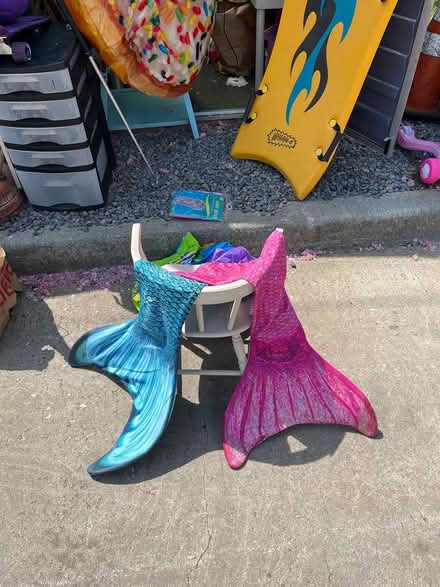 Photo of free Mermaid tails (Oradell) #1