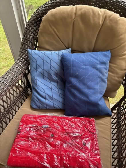 Photo of free Airline pillow and blankets (Ossining) #1