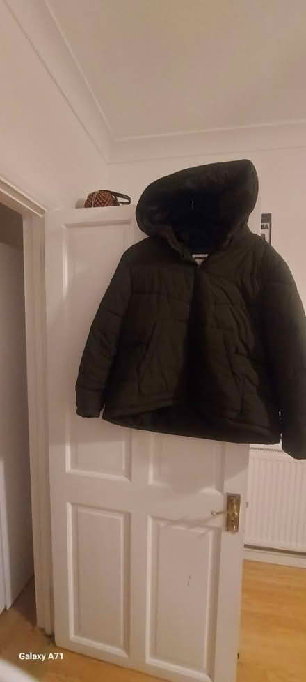 Photo of free Green Jacket (Bellingham) #2