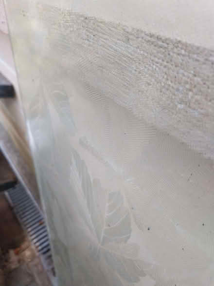 Photo of free Patterned Glass leaf design. (Fairfield Park) #2