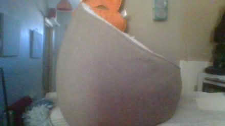 Photo of free Large cat igloo (BA2) #1
