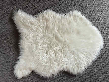 Photo of free Faux sheepskin (Walden - North Porter Square) #1