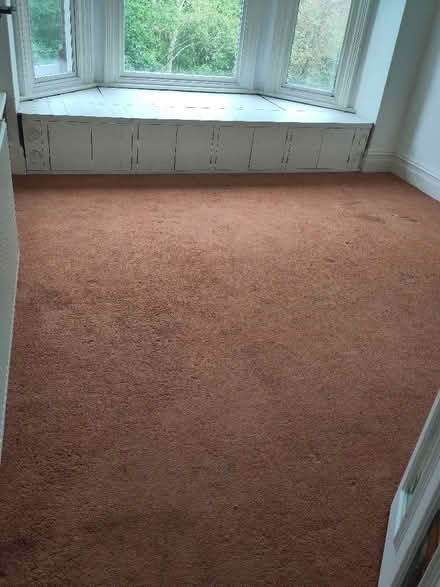 Photo of free Carpets (Leeds LS8) #3