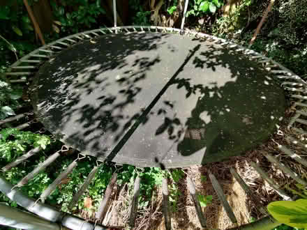 Photo of free Trampoline, 3m (Leckhampton GL53) #2