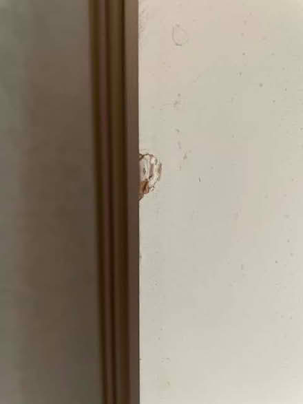 Photo of free Four wardrobe doors (Tideswell SK17) #2