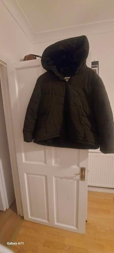 Photo of free Green Jacket (Bellingham) #1