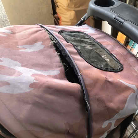 Photo of free Pet stroller (East Watertown) #3