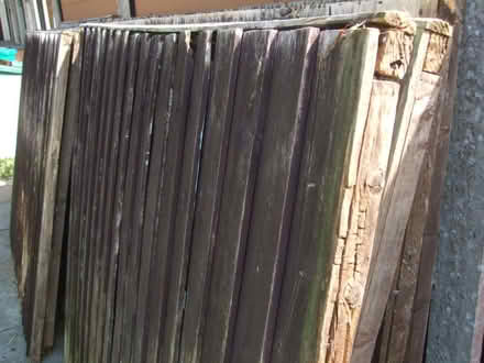 Photo of free 9 x Fence panels (6x5) (Heath Hayes WS12) #2