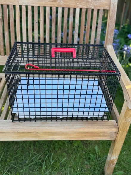 Photo of free Metal cat basket (Rake) #2