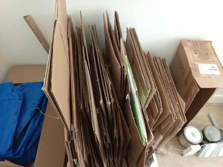Photo of free Moving boxes (Dinnington, S25) #1