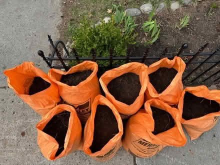 Photo of free garden bed soil (Civic Hospital) #2