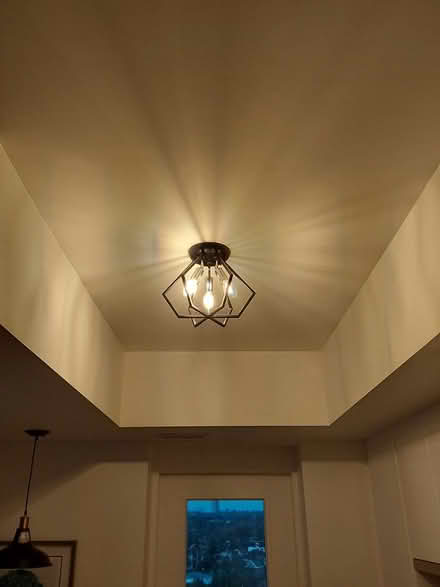 Photo of free Black Ceiling Light (K2A 0G7) #3