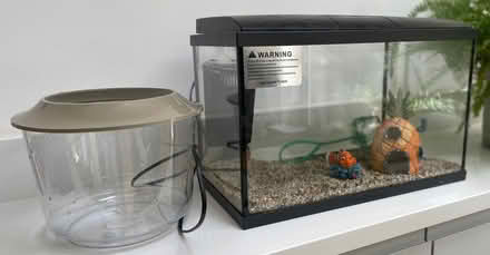 Photo of free Fish tank, fish bowl, pump and gravel (Spital CH62) #1