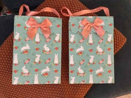 Photo of free Bunny gift bags (Alexandria) #1