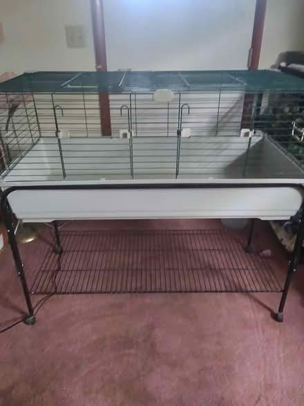 Photo of free Guinea Pig, small animal cage (Stewartstown) #1