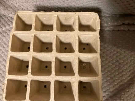 Photo of free Seed Tray (Letchworth wilbury) #1