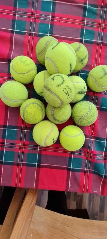 Photo of free Sed tennis balls - for dog walkers? (Priestwood RG42) #1