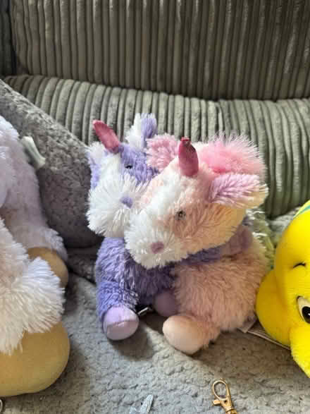 Photo of free Some teddies and keyrings (Lamberhead Green WN5) #4