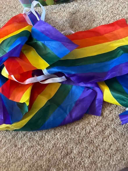 Photo of free Pride bunting flag and wearable flag (Broadwater SG2) #1
