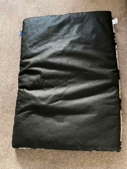 Photo of free Dog bed/rug (Beckenham BR3) #2