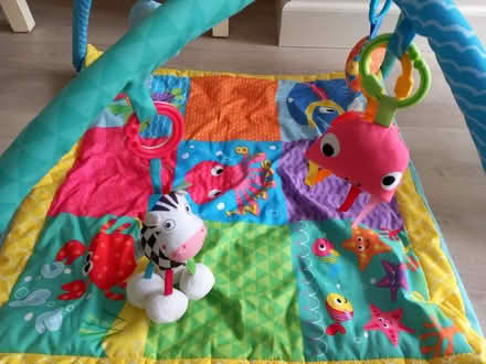Photo of free Baby Mat with Mobile (EN7 Cheshunt) #3