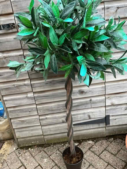 Photo of free Artificial plant (Old Malden KT4) #1
