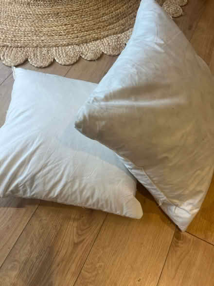 Photo of free Two feather filled cushion inserts (BN41) #1
