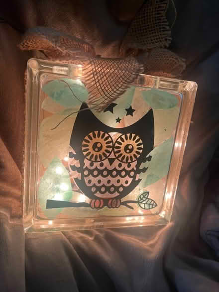 Photo of free Owl glass block light (Montgomeryville) #1