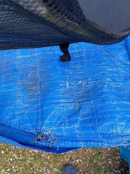 Photo of free Stand-alone 8ft Trampoline (Cobham, Kent Da12) #3