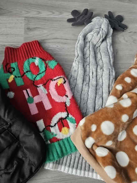 Photo of free XS Dog Jumpers and Coat (Bestwood Park Estate NG5) #3