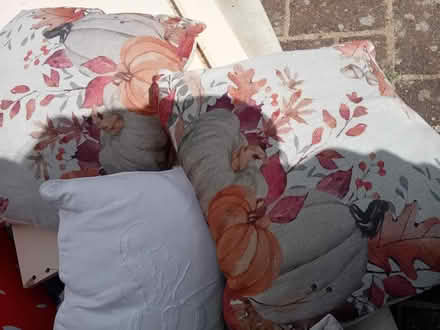 Photo of free Cushions (MK41) #2