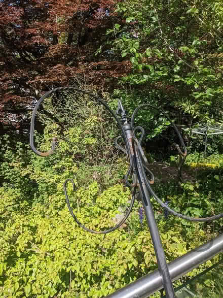Photo of free Bird feeder (Tavistock) #1