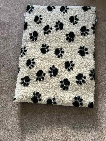 Photo of free Dog bed/rug (Beckenham BR3) #1
