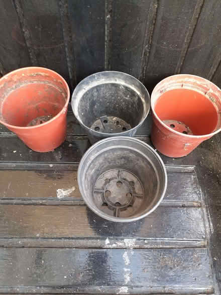 Photo of free 4 12x12cm plant pots (Wandsworth Common SW12) #1