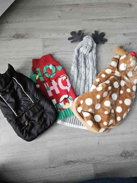 Photo of free XS Dog Jumpers and Coat (Bestwood Park Estate NG5) #1