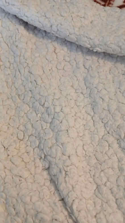 Photo of free Blanket (PO19) #3