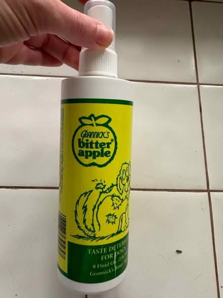 Photo of free Bitter apple spray for dogs (Hurley NY) #1